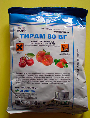 Порошки для уничтожения тараканов: обзор эффективных средств
