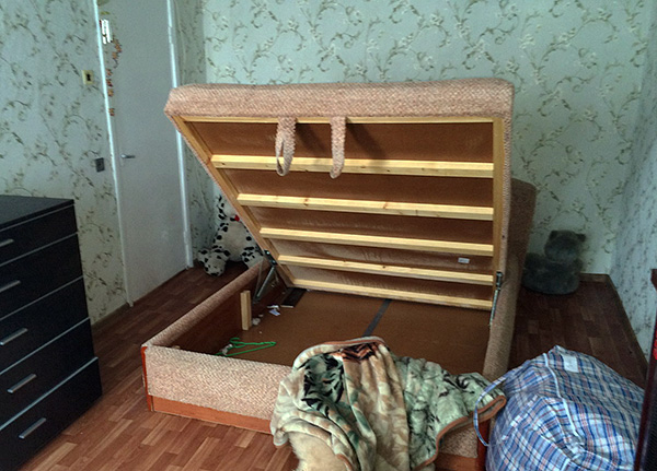 Применение средства Агран для уничтожения постельных клопов